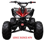 Load image into Gallery viewer, Creature Racing® OEM Coolster 110cc-125cc ATV Handlebar Control Switch Assembly