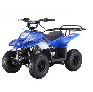 Tao Motor ATV's