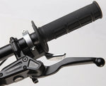 Load image into Gallery viewer, 2026 E Ride Pro Pro SR
